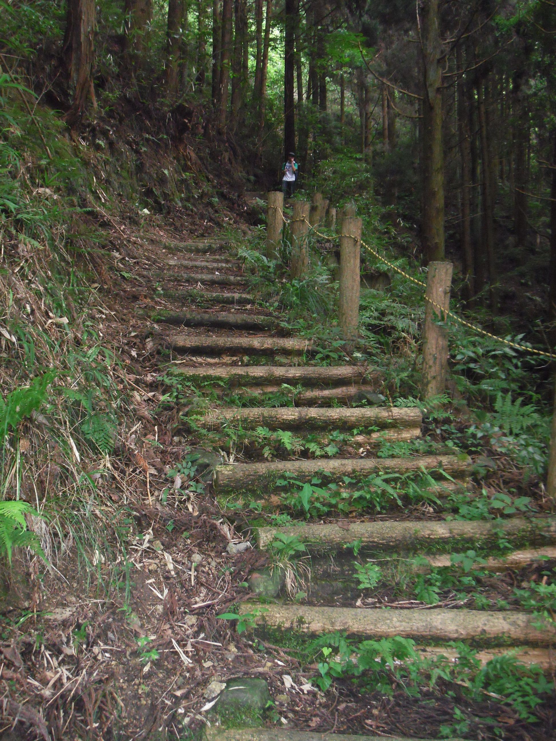 宮川谷コース