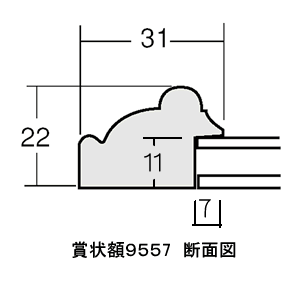 樹脂製/オーダー賞状額縁　９５５７断面図