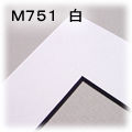 �}�b�g-M751�@�i���j