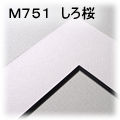 �}�b�g-M751�@�i�����j